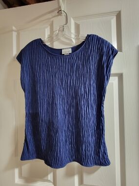 Comfy Copy-Cats blue crinkled top. This shirt is a size medium